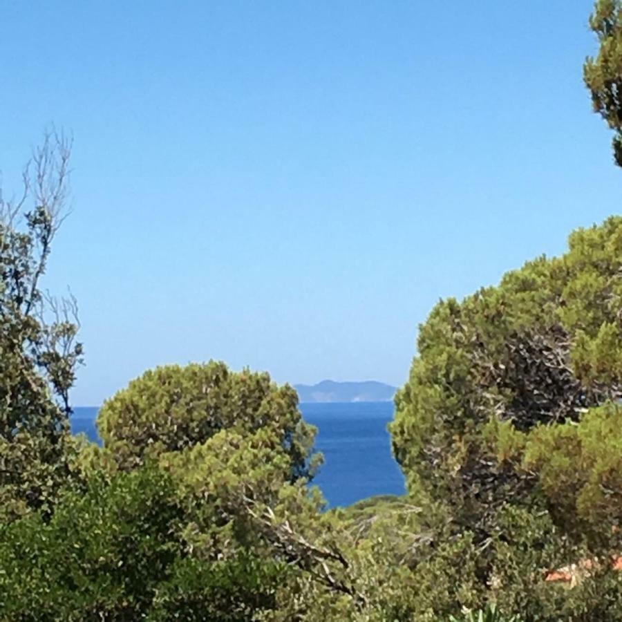 Casa Al Mare Livorno Lägenhet Quercianella Exteriör bild